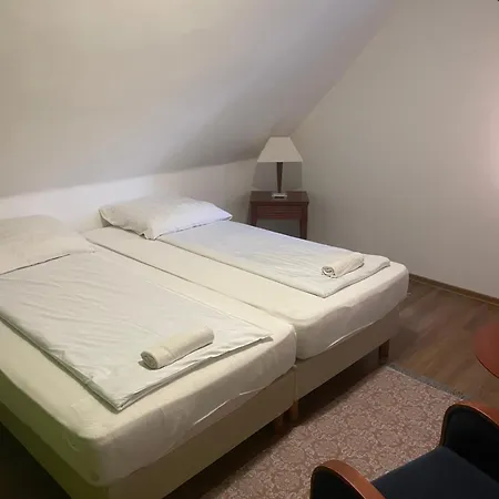 Turul Panzio&pizzeria Отель типа 