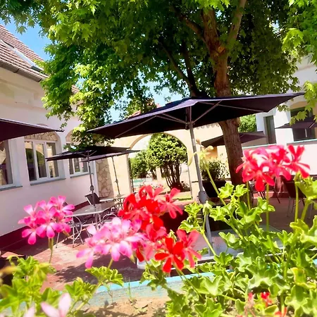 Bed and Breakfast Turul Panzio&pizzeria