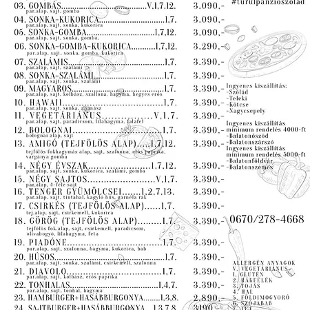 Turul Panzio&pizzeria 3*